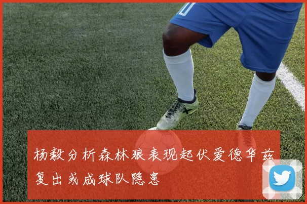 杨毅分析森林狼表现起伏爱德华兹复出或成球队隐患