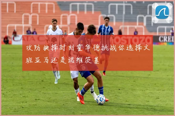 攻防抉择时刻霍华德挑战你选择文班亚马还是诺维茨基