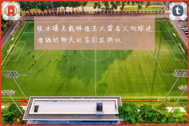 张冰曝光戴琳借王大雷名义向球迷借钱的聊天记录引发热议