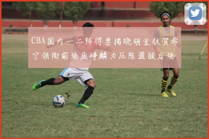 CBA国内一二阵得票揭晓胡金秋贺希宁领衔前场庞峥麟力压陈盈骏后场